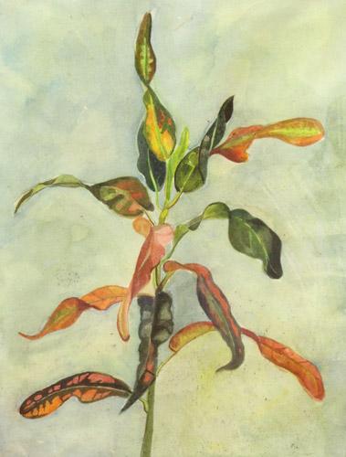 image-1 (1) (1)