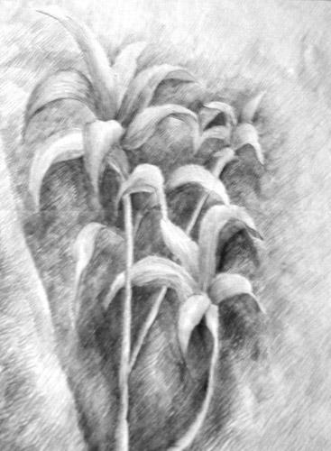 image-25 (1) (1)